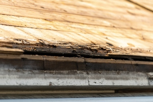 Roof Replacement Services in Hudson Valley